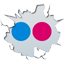 Follow Us on Flickr Follow Us on Flickr